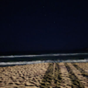 Meet your Posher, Aurelie